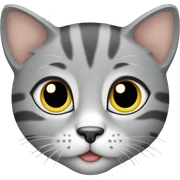 Grey tabby kitten sticker