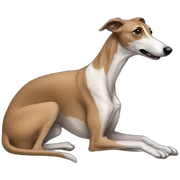 greyhound sticker