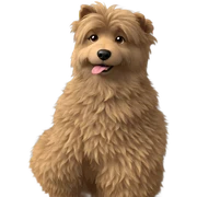 fluffy dog gazing at viewer sticker