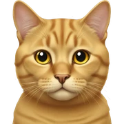 Golden British cat sticker