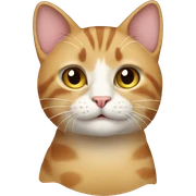 Cat sticker