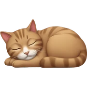 Cat sleeping sticker