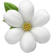 White flowers sticker
