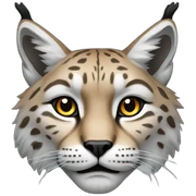 Lynx sticker
