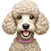 Poodle sticker