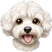 maltipoo sticker