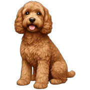 Reddish light brown cockapoo full body sticker
