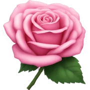 Pink pretty rose sticker
