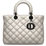 Dior bag sticker