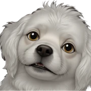 portrait of a white dog sticker