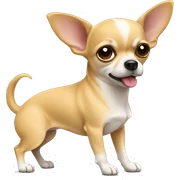 Chihuahua sticker