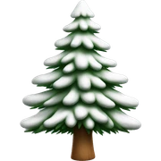  actual white fir christmas tree isolated.  sticker