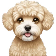 maltipoo sticker