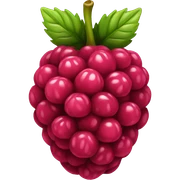 Raspberry  sticker