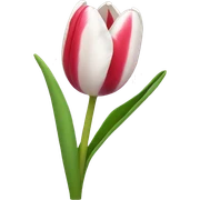 Tulip sticker