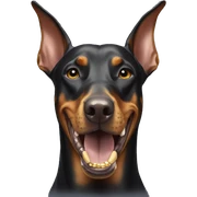 doberman with gold teeth  sticker