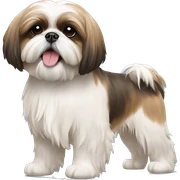 Shih tzu sticker