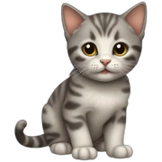 kitten sticker