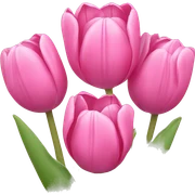 Pink tulips with a bow sticker