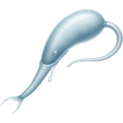 Espermatozoide  sticker