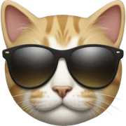 Cat with sunglasses sticker