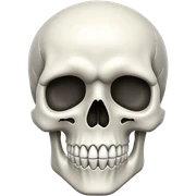 Skull skull skull sticker