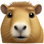 capybara  sticker