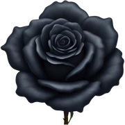 Black rose sticker