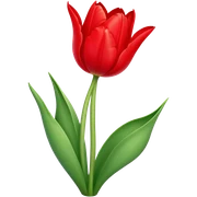 A tulip

 sticker
