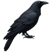 Crow-in-cementery sticker