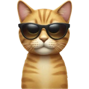 Cat with sunglasses sticker