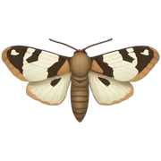 moth sticker