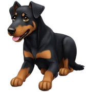 Beauceron sticker