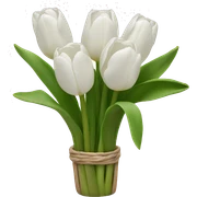 white tulips sticker