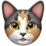 3 colored cat sticker