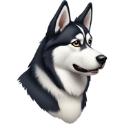 Siberian Husky sticker
