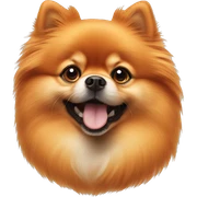 Orange Pomeranian  sticker