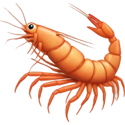 Shrimp sticker