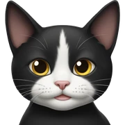 Tuxedo cat sticker