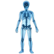 X Ray sticker
