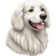 medium-sized Hungarian herding dog breed with a non chalant demeanor  sticker