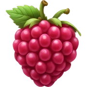 juicy raspberry  sticker