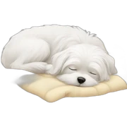 Maltese sleeping sticker