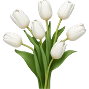 white tulip bouquet  sticker