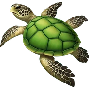 Sea turtle sticker