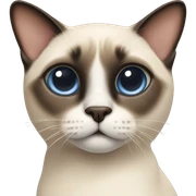 Siamese cat sticker