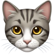 Cat sticker
