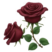 Maroon roses  sticker