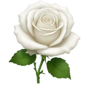 white rose sticker