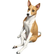 dog lounging on couch sticker